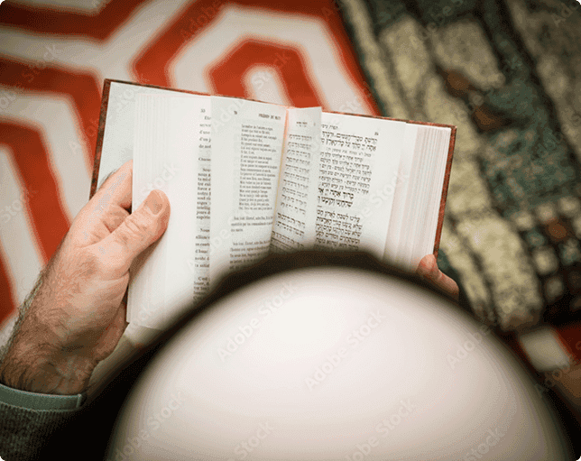 Man reading a book