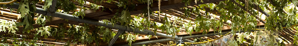 Sukkot